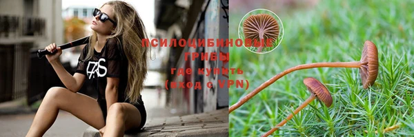 гашик Белоозёрский